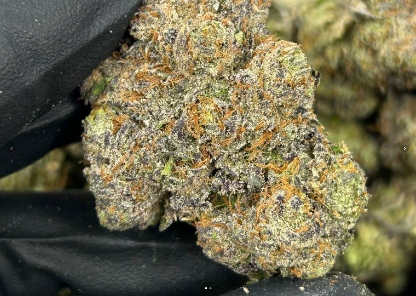 13 Orange Creamsicle
