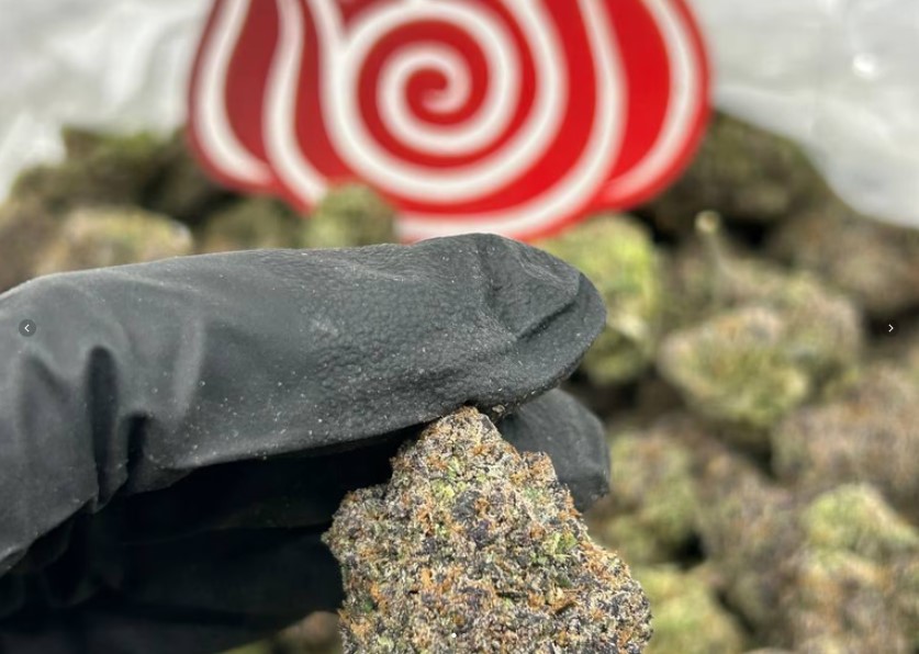 Welch's Grape Mochiz