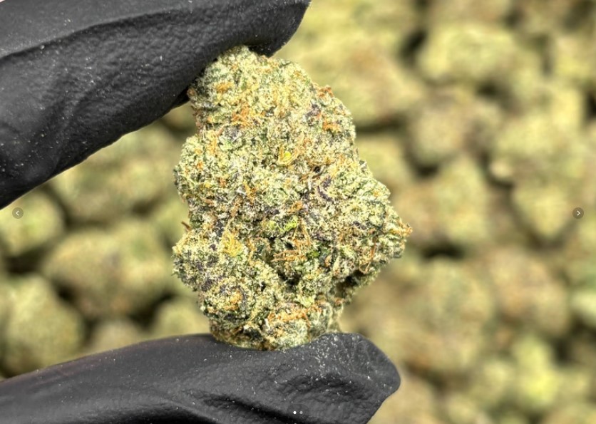 White Cherry Supreme