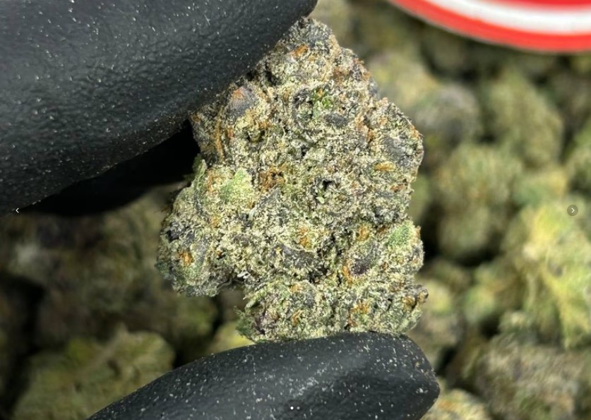 20 Bubblegum Frostbite
