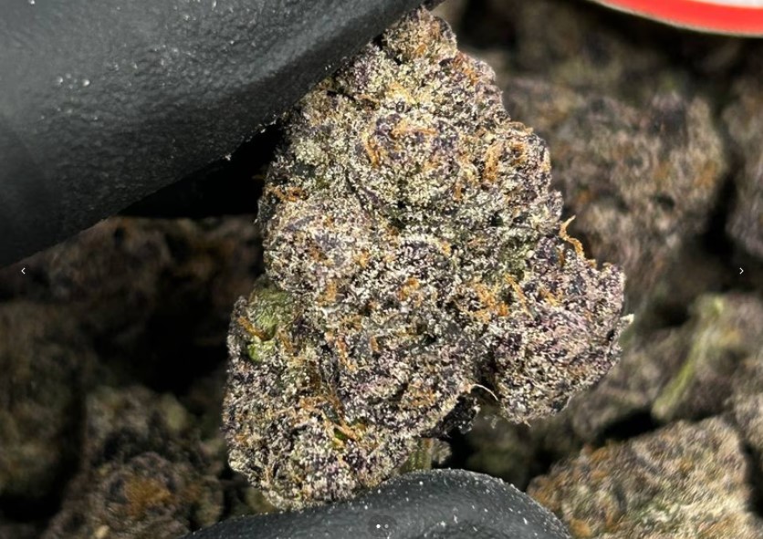Purple Peach Ringz