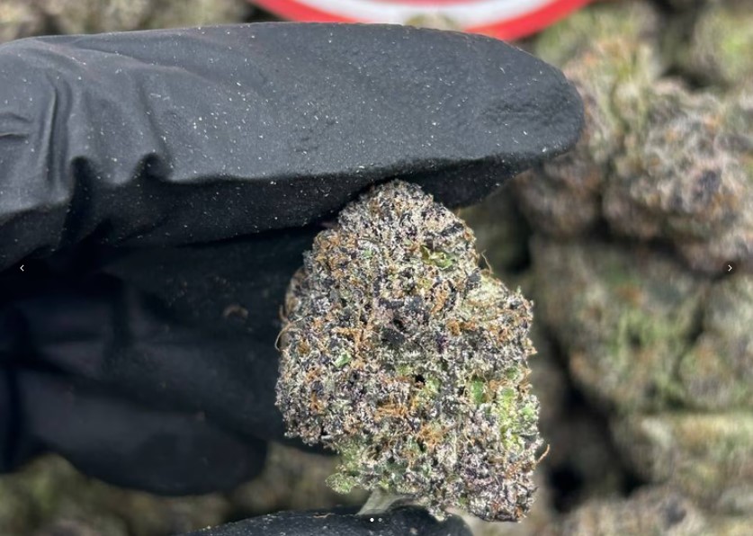 Grape Gusherz
