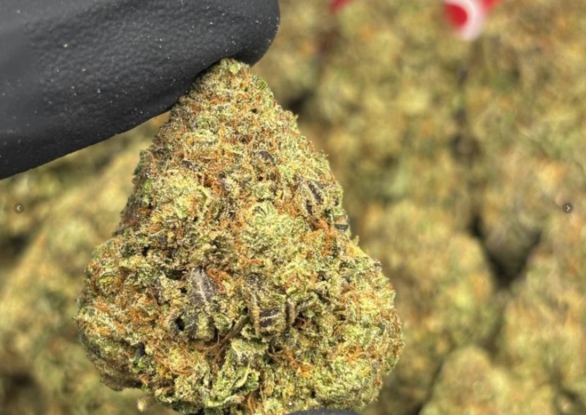 LA Lemon Fuel