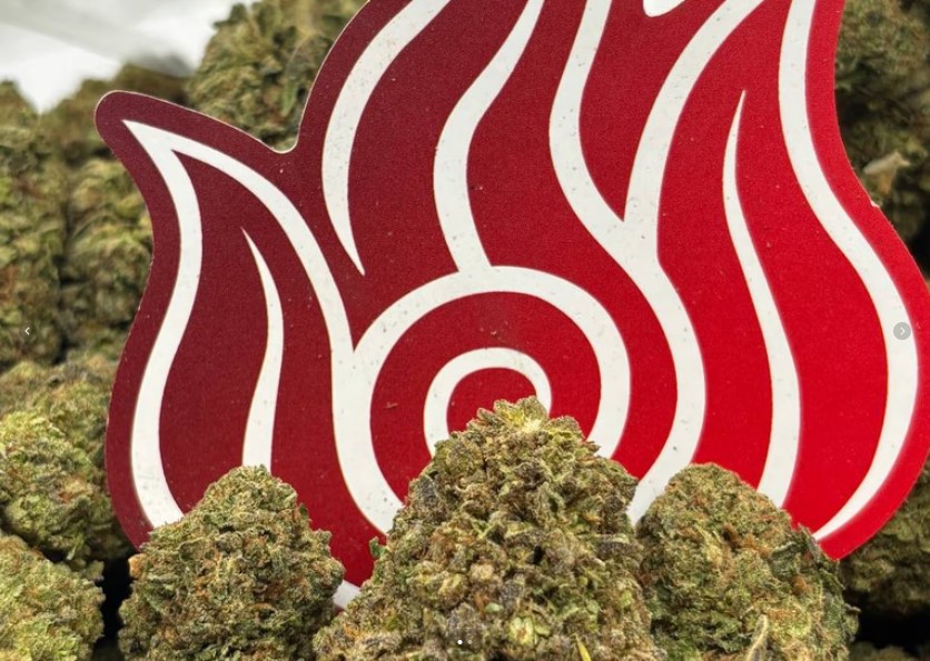 Gelato 47