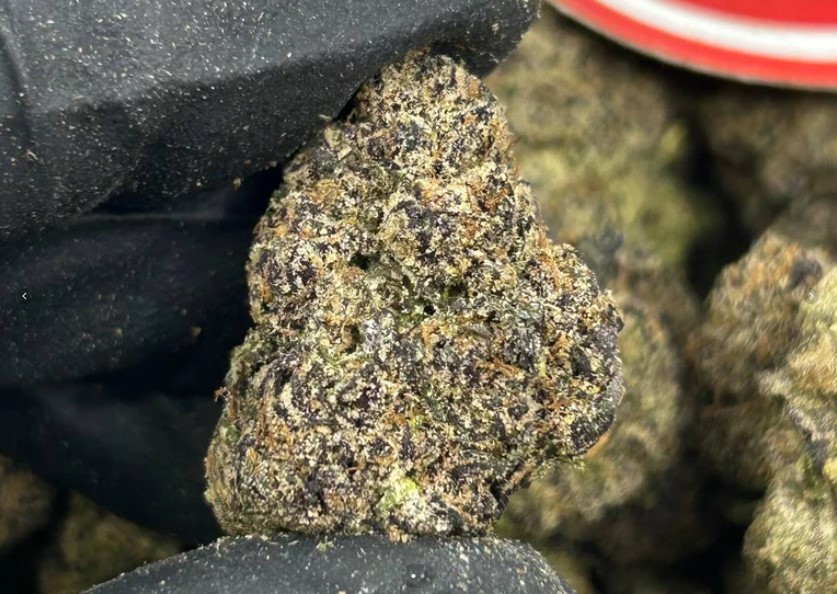 Wild Berry Dynamite