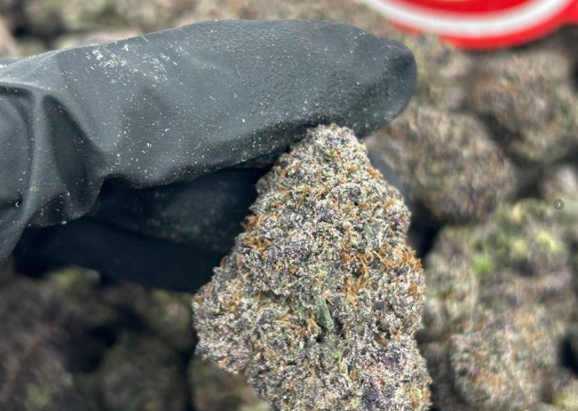 Purple Space Zkittlez