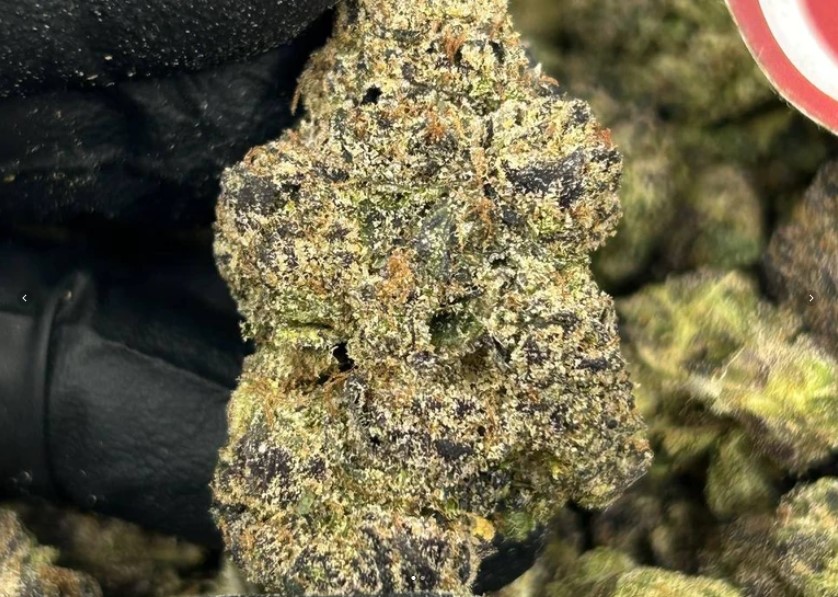 Mango Exotics