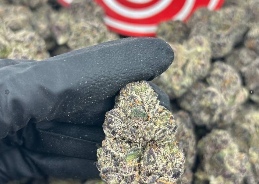 Frozen Candy Runtzlato