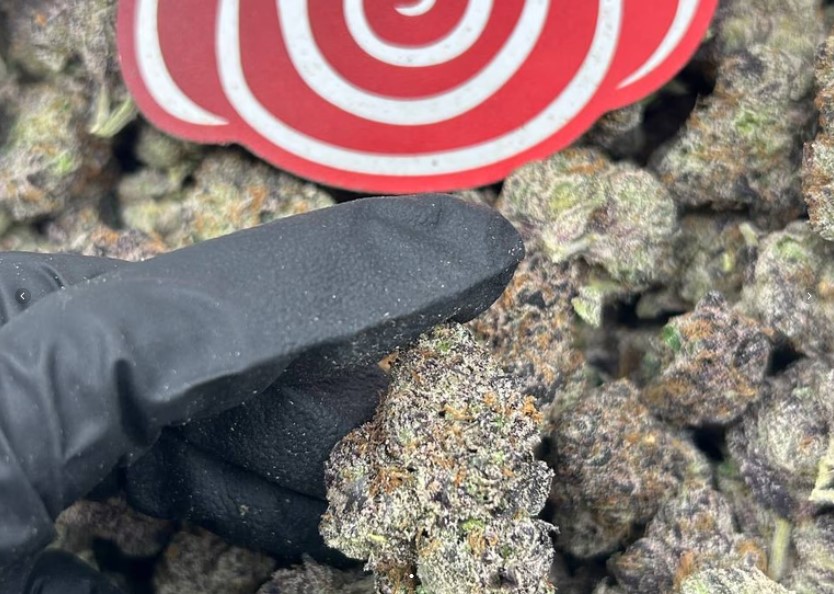 Purple Pineapple Paradise